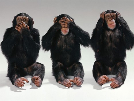 See No Evil - Cruise Media